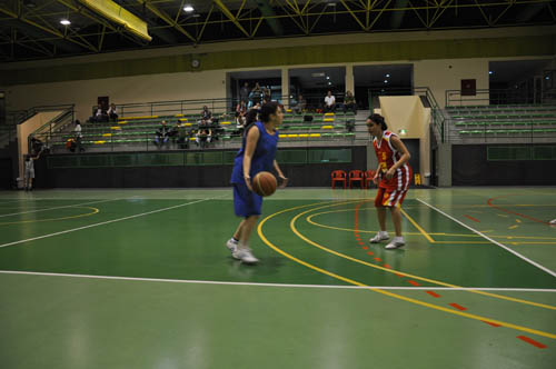 sbbl (84)